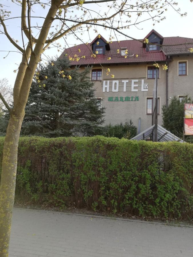Hotelik Warmia -Pensjonat, Hostel Лідзбарк-Вармінський Екстер'єр фото